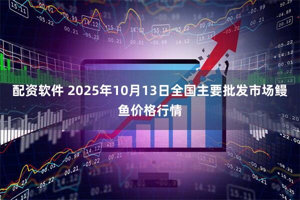配资软件 2025年10月13日全国主要批发市场鳗鱼价格行情