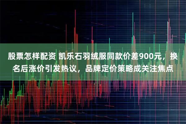 股票怎样配资 凯乐石羽绒服同款价差900元，换名后涨价引发热议，品牌定价策略成关注焦点